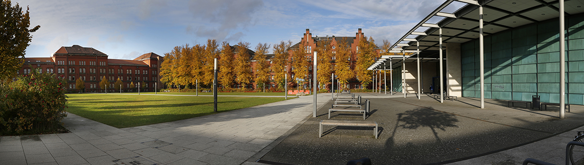 Faculty of Economic and Social Sciences