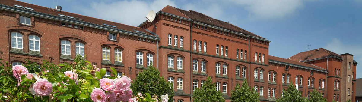 Institute der WSF