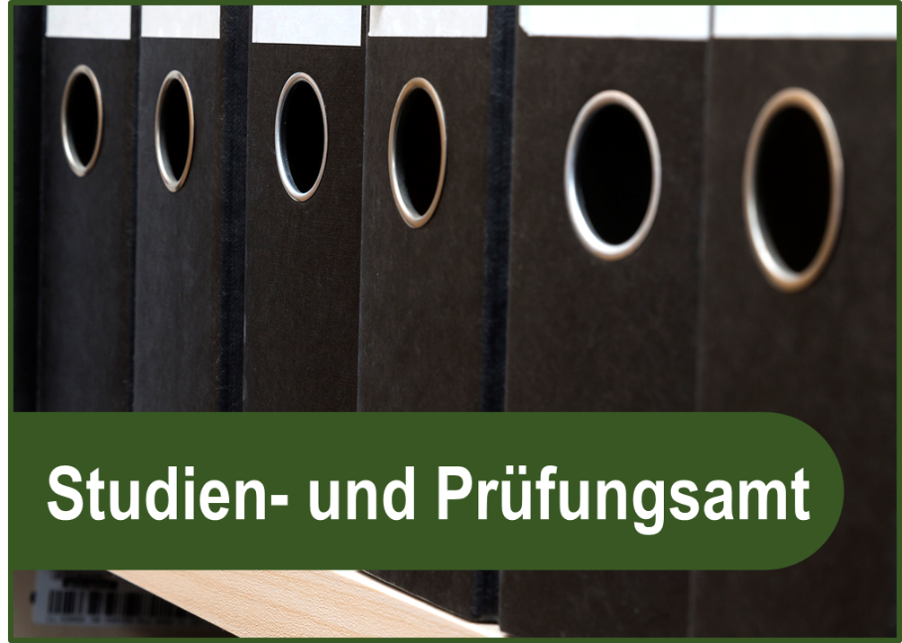 Studien- und Prüfungsamt