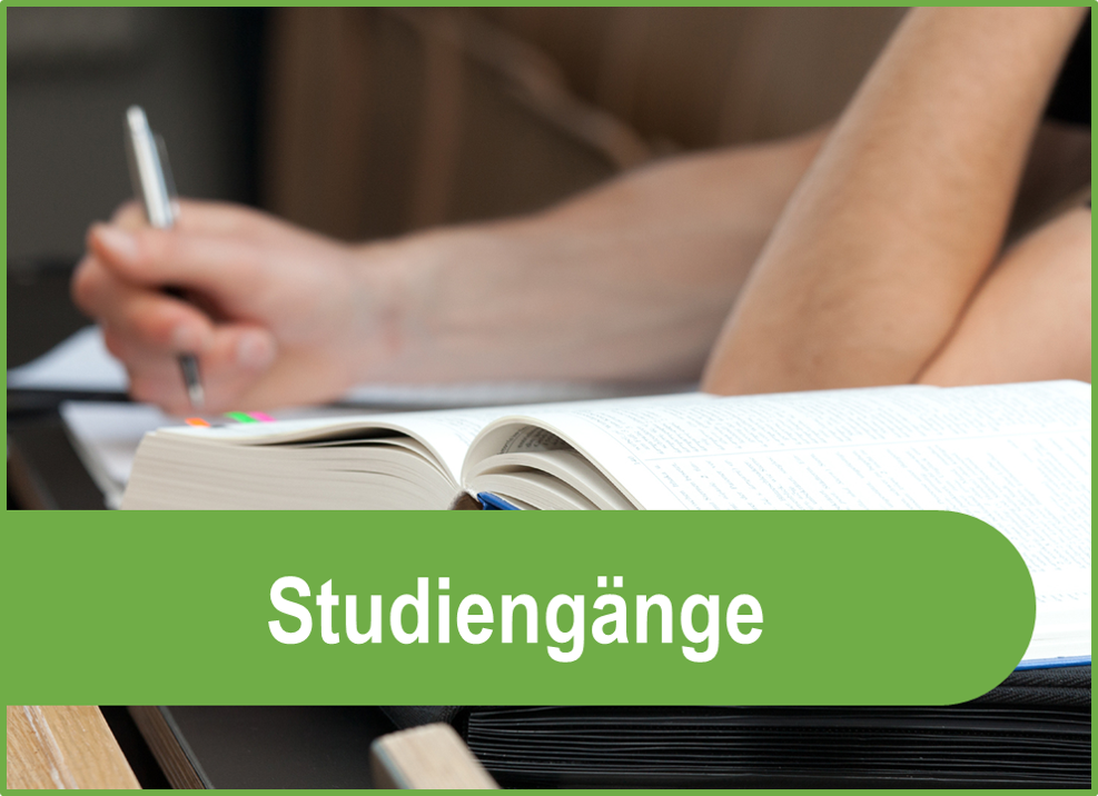 Studiengänge